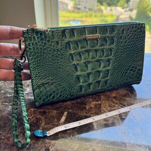 Brahmin Daisy in Parakeet